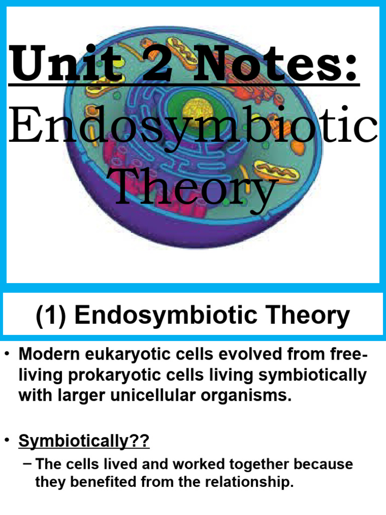 Endosymbiotic Theory | PDF