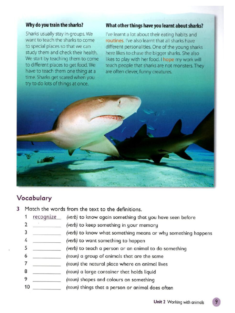 Oxford Primary Skills 5 Book PDF Compress 10 | PDF