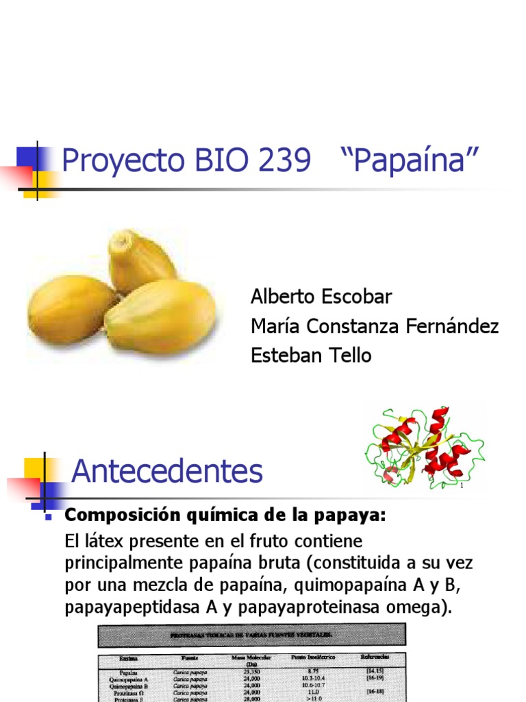 Papaína | PDF | Electroforesis | Proteínas
