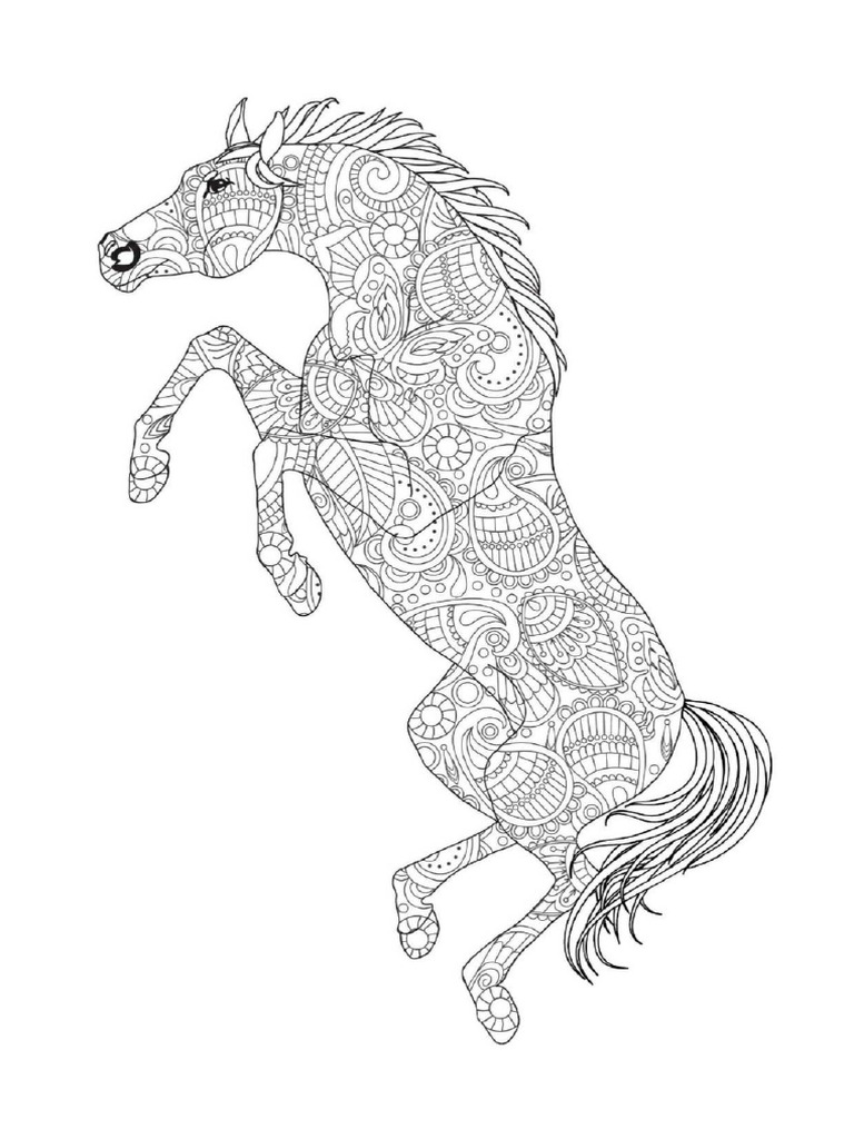 Advance Level Animal Coloring Book | PDF