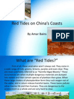 Red Tides on China’s Coasts