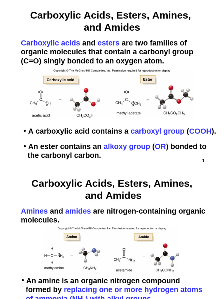 Carboxylic Acids, Esters, Amines Overview | PDF | Amide | Ester