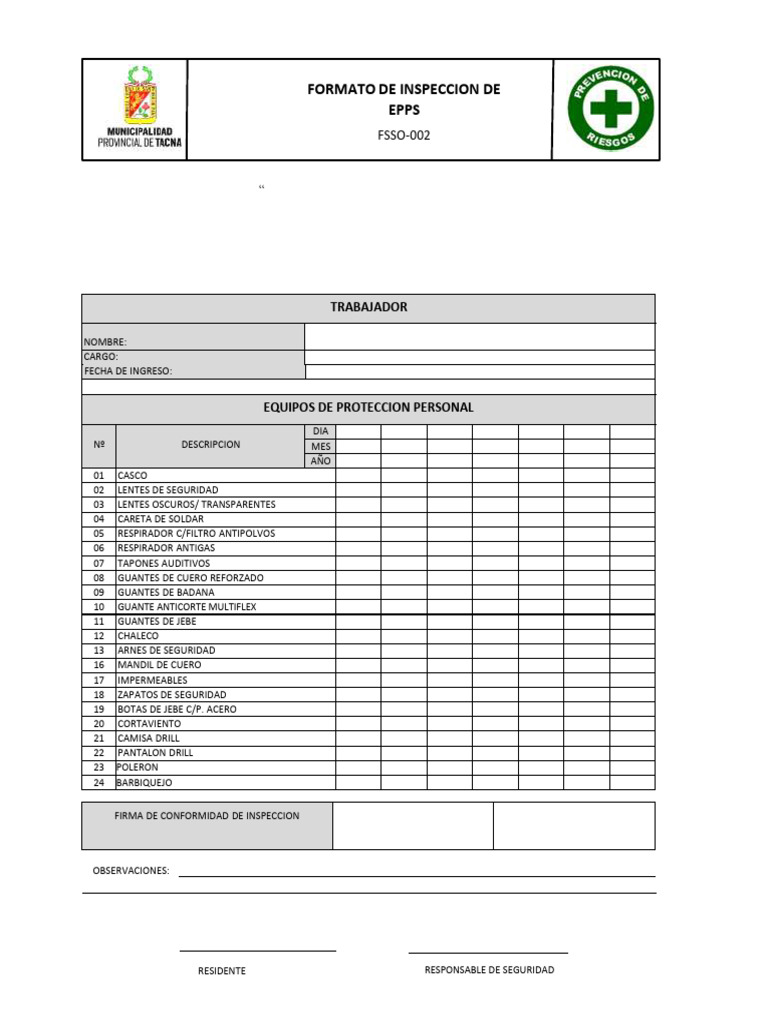 Inspección de EPP para Proyecto en Tacna | PDF
