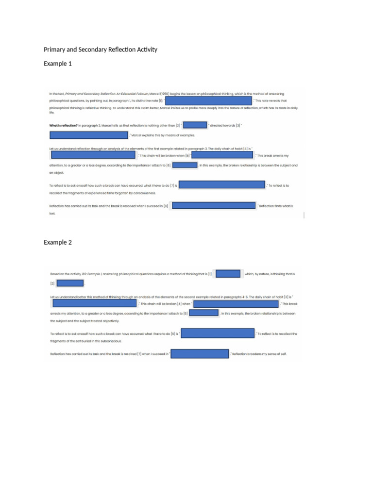 Primary and Secondary Reflection Activity | PDF