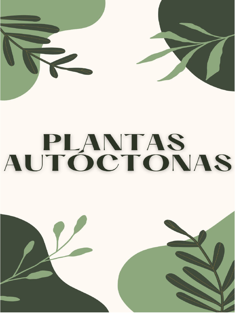 PACARÁ | PDF