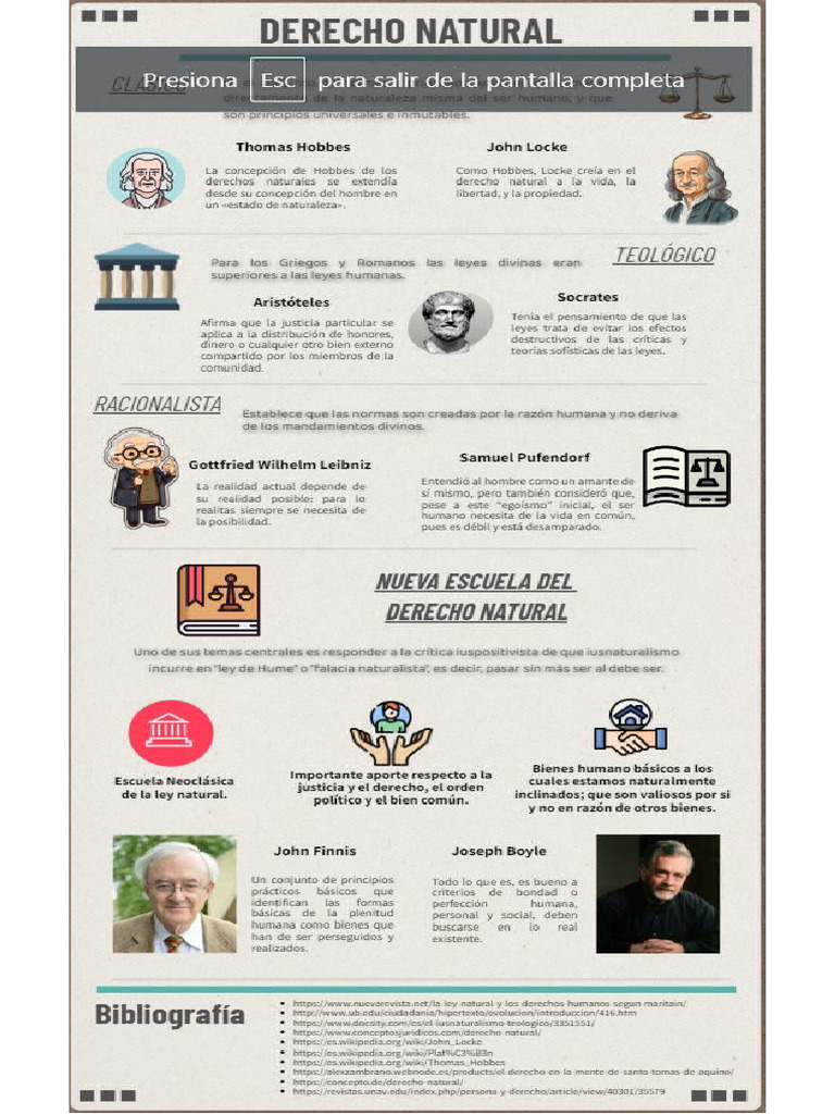 Infografia Derecho | PDF