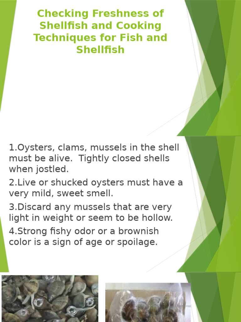 Freshness and Cooking of Shellfish | PDF