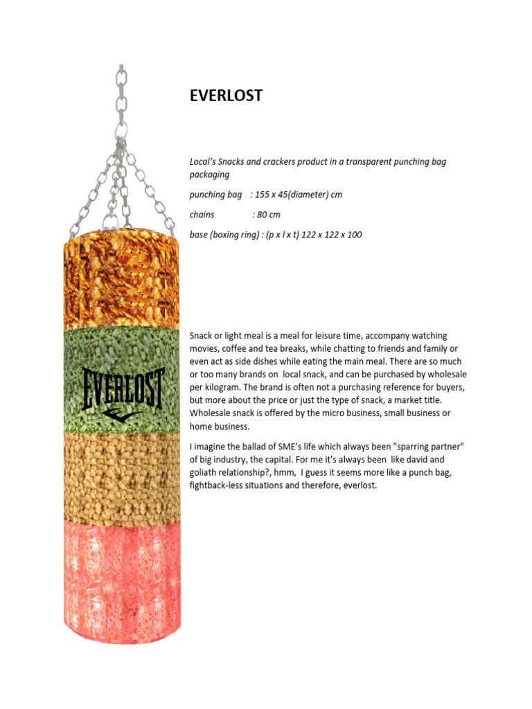 Everlost: Snacks and SMEs Struggles | PDF