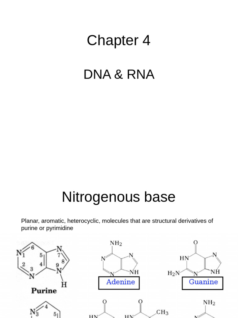 CH 4 Nucleic Acids 2022 | PDF | Nucleotides | Dna