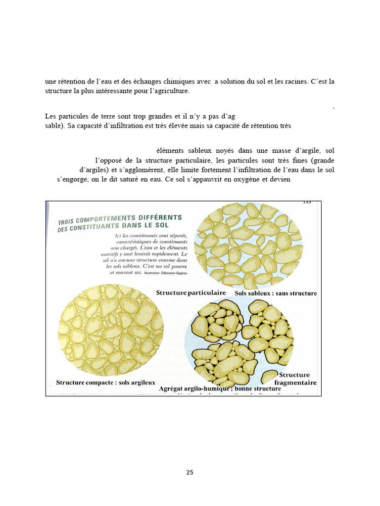Types de structures de sol et leur impact | PDF | Porosité | Génie ...