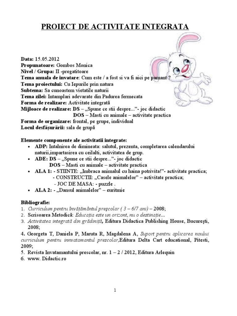 Proiectul Final
