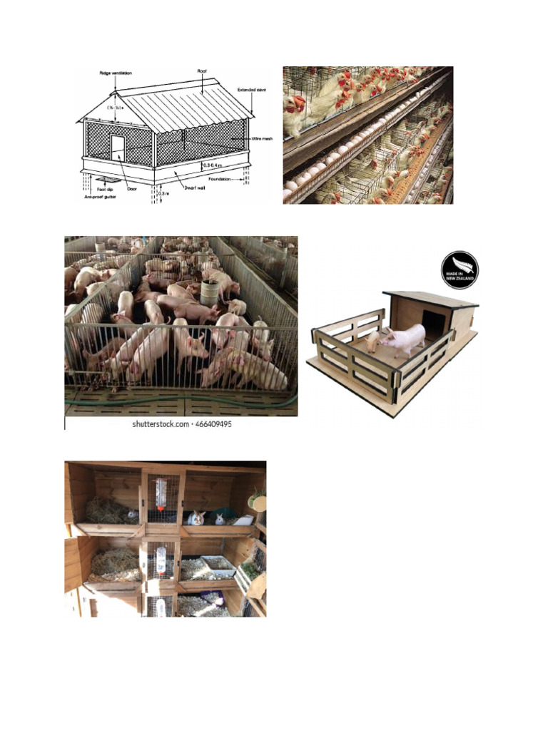 Poultry House Layer House | PDF