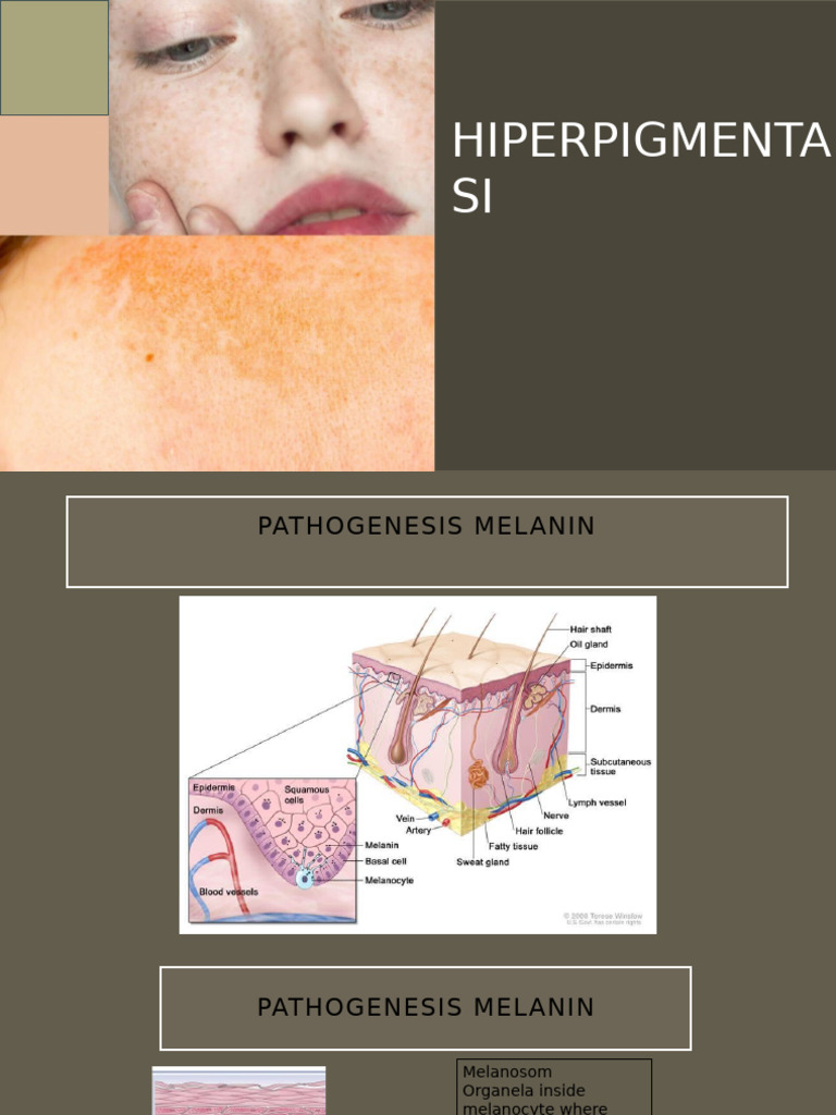 Melanin Synthesis and Skin Pigmentation | PDF