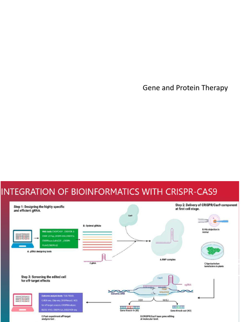CRISPR Gene Therapy for Sickle Cell Disease | PDF | Monoclonal Antibody ...