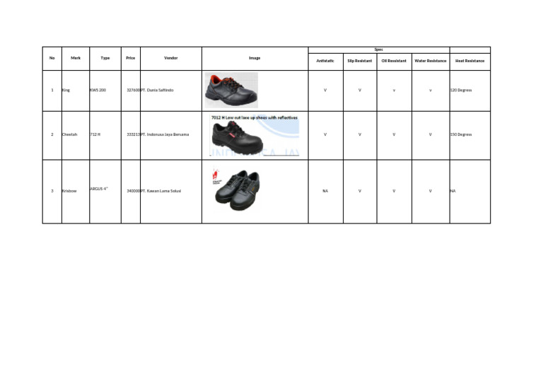 Safety Footwear Specifications and Prices | PDF