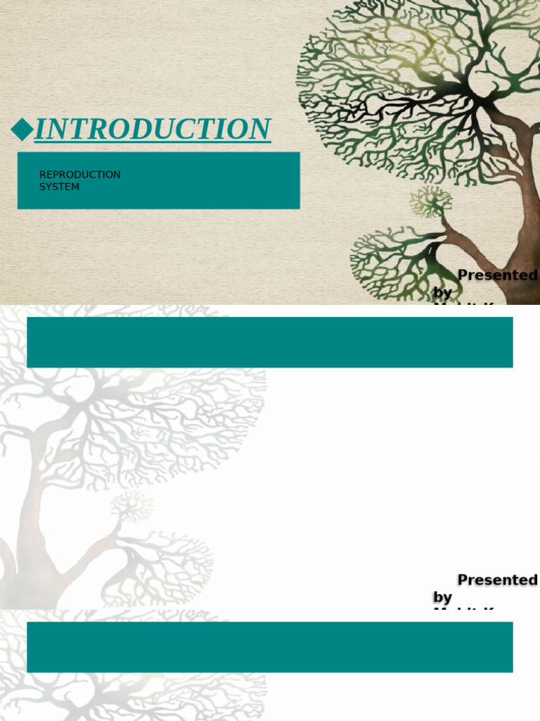 Introduction | PDF