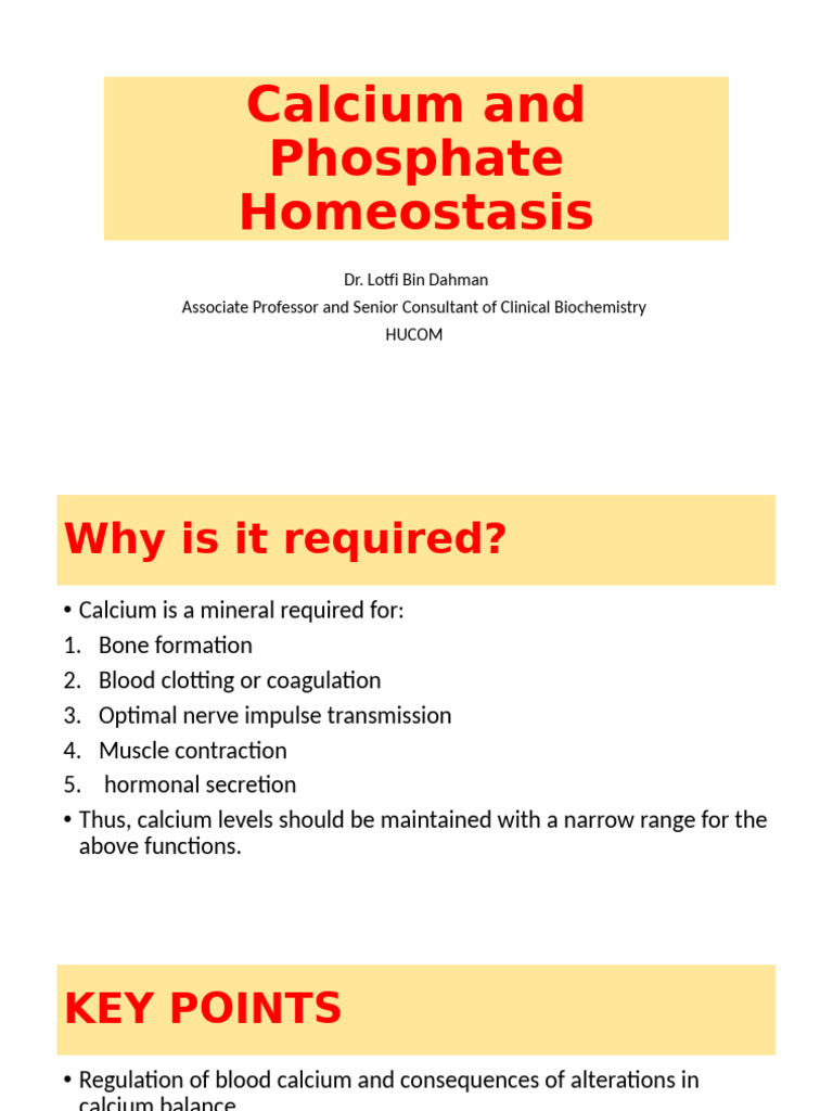 Calcium and Phosphate Homeostasis-Y4 | PDF | Vitamin D | Endocrine System