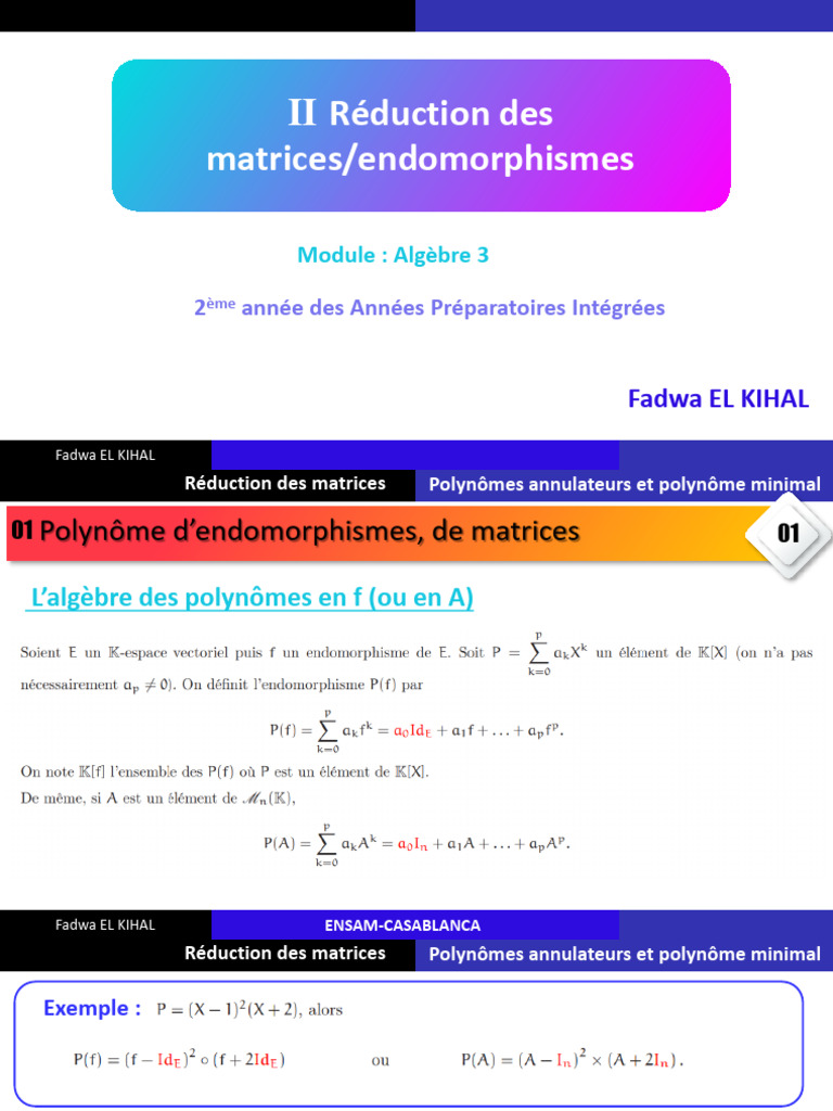 Réduction des Matrices et Polynômes | PDF | Matrice (Mathématiques ...