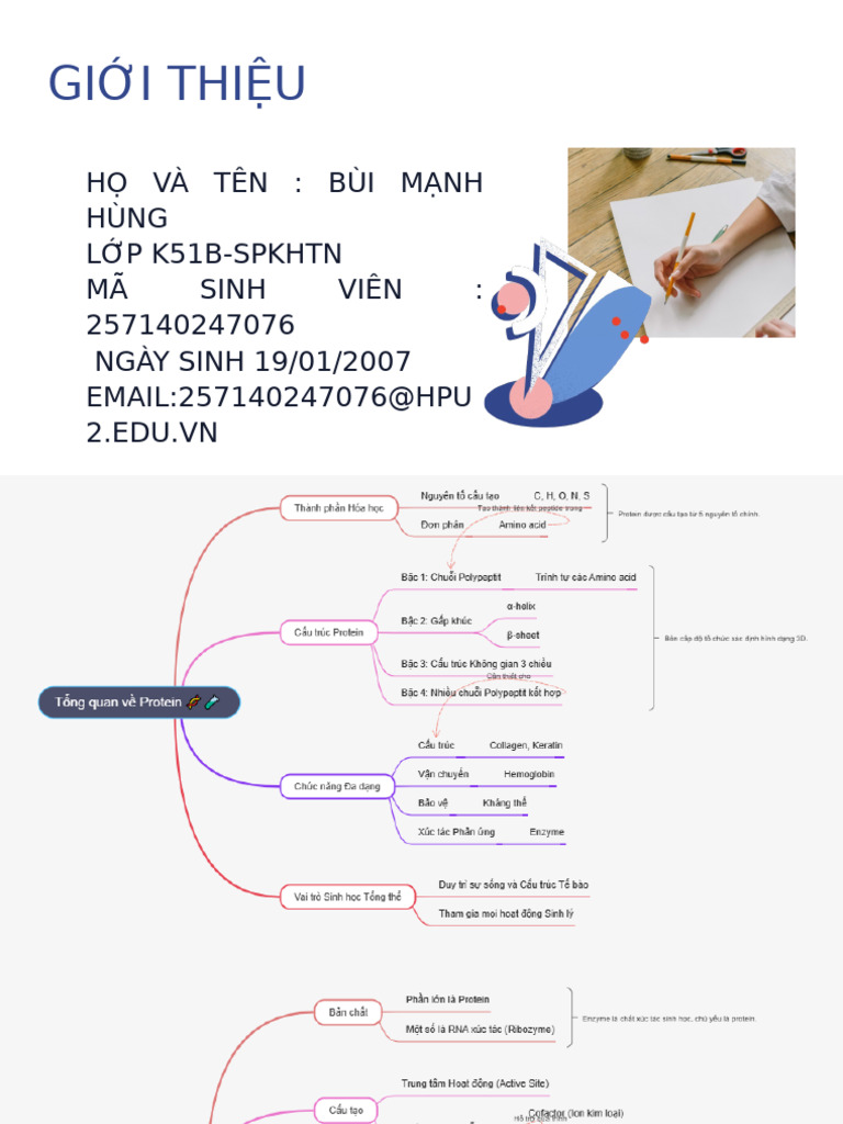17-bùi mạnh hùng-bài tập 6 cho tuần 9 | PDF