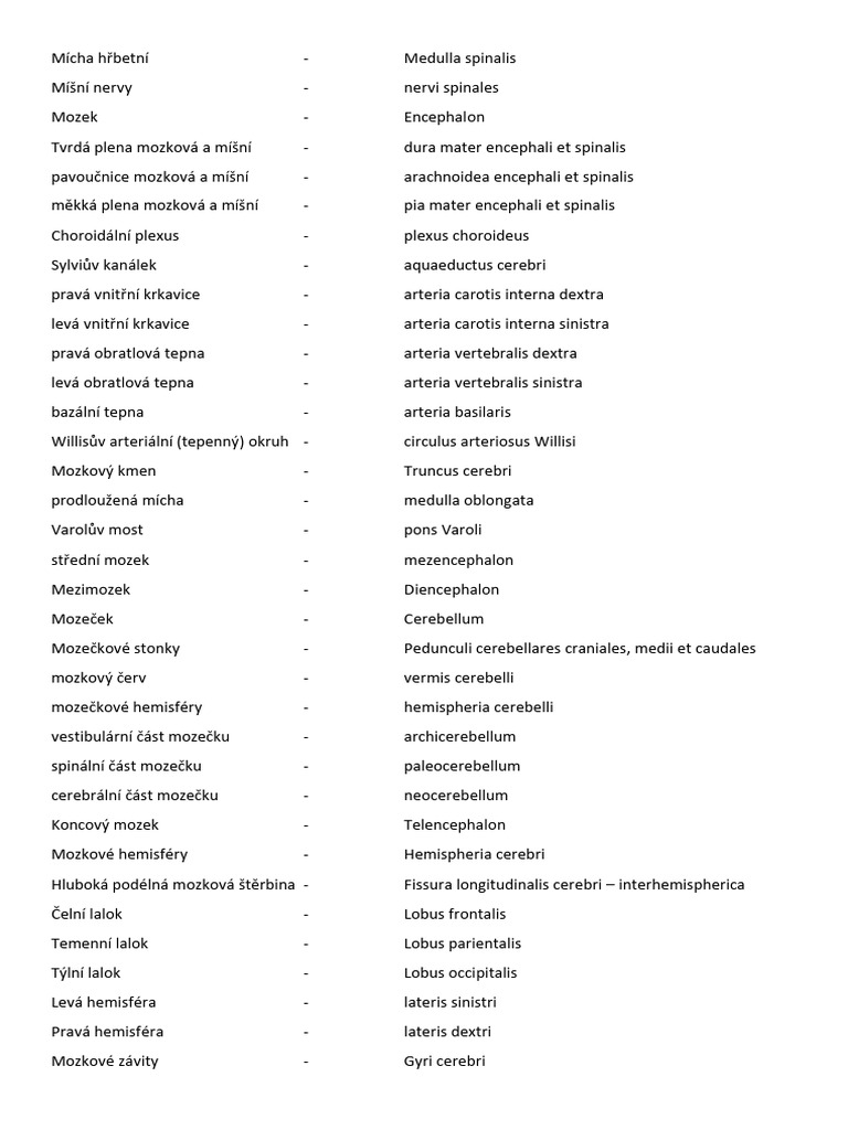 Neuro - Latinská Slovíčka | PDF