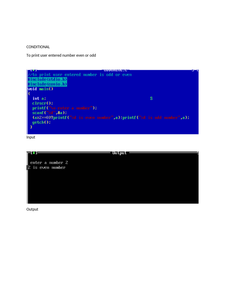 Programming Basics: Input/Output Examples | PDF