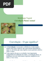 COEVOLUÇÃO PLANTA ANIMAL