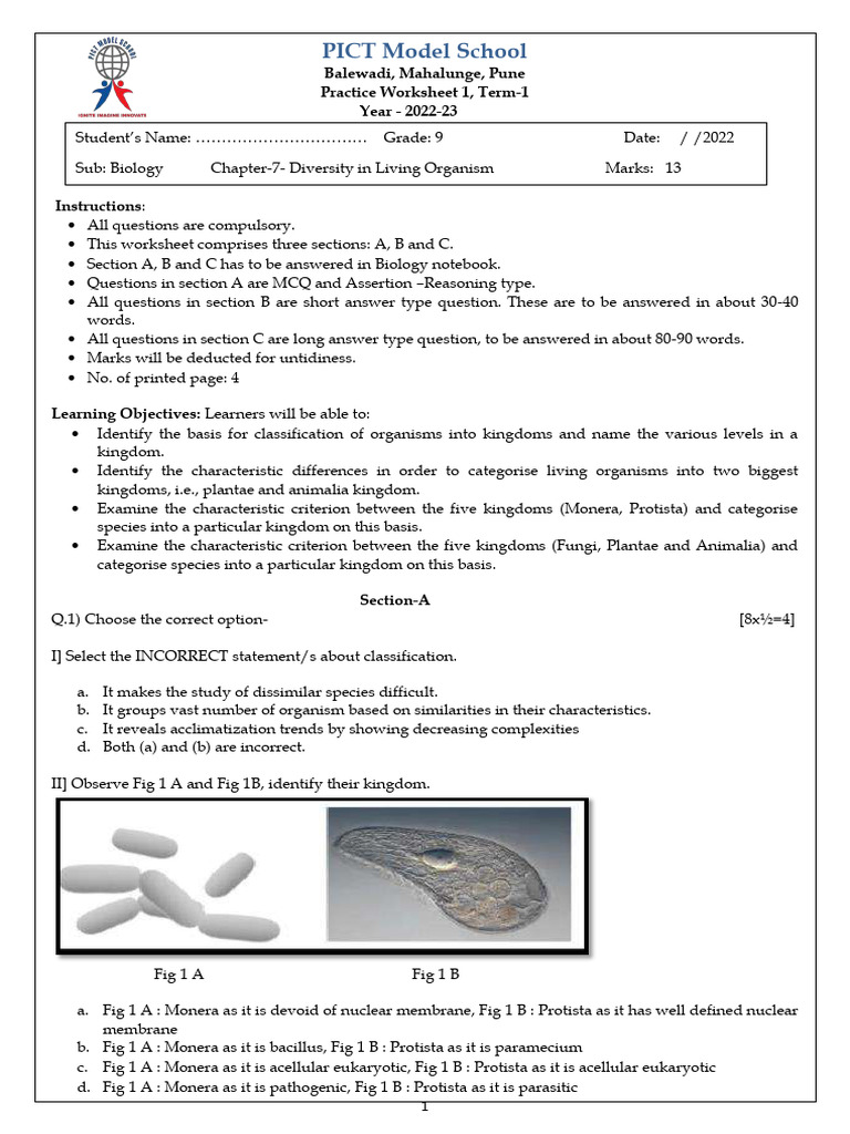 WS1 Grade 9 Biology Summer Session | PDF | Biology | Organisms