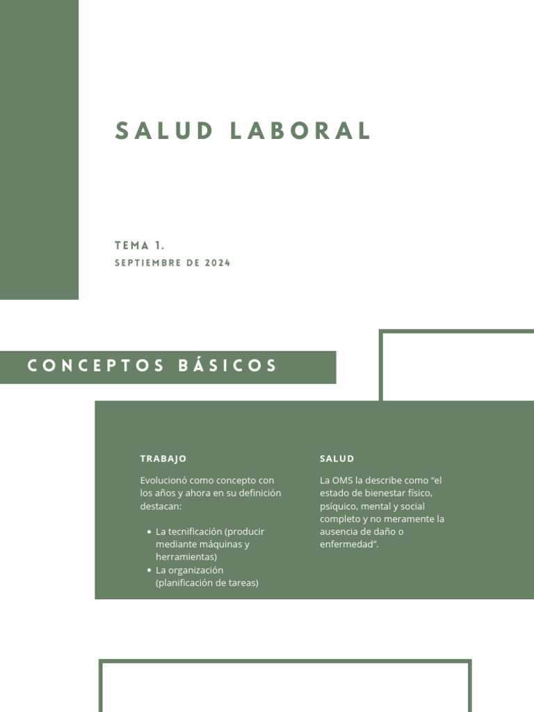 Prevención de Riesgos Laborales 2024 | PDF | Seguridad y salud ocupacional