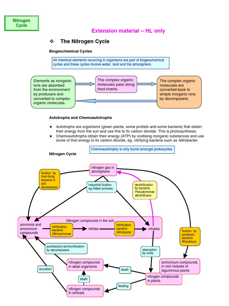 Understanding the Nitrogen Cycle | PDF | Science & Mathematics