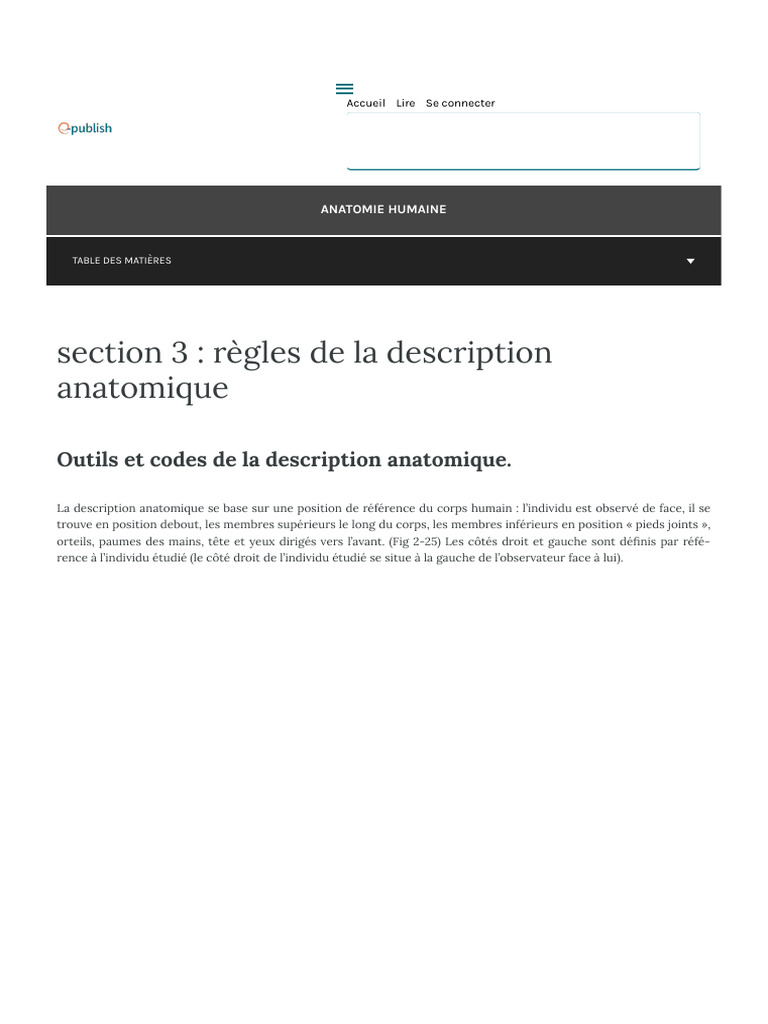 Planche Anatomique des Muscles | PDF | Système de référence en anatomie ...