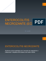 Enterocolitis Necrozante