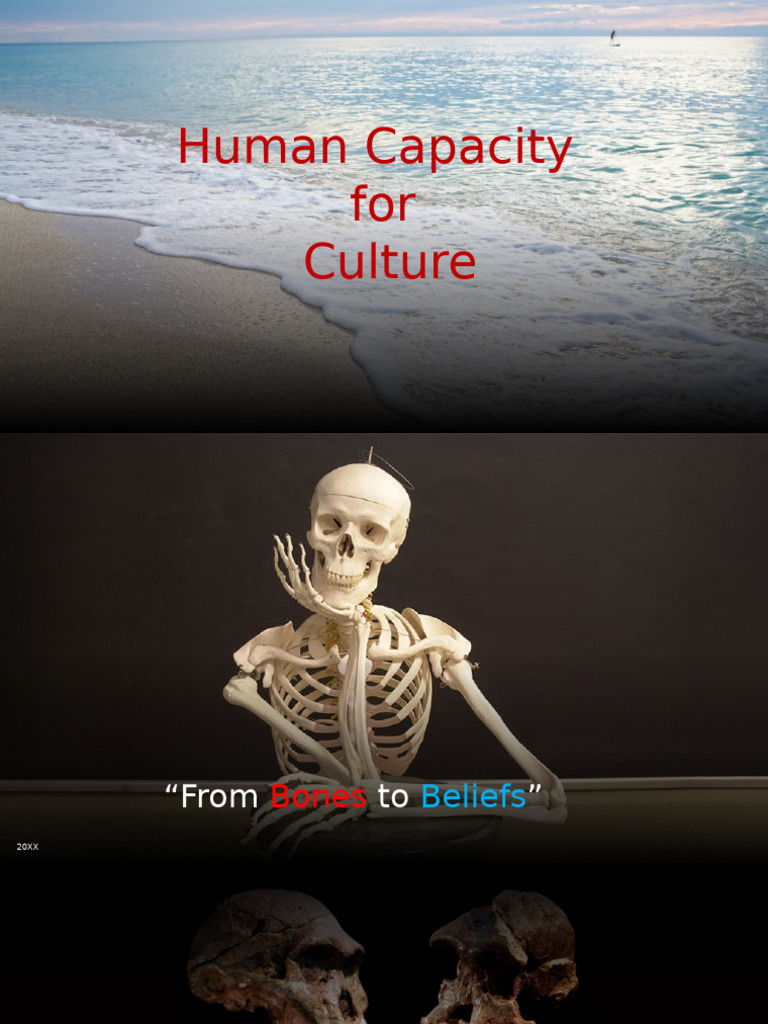 USCP - Human Capacity For Culture - JJHH | PDF | Thumb | Bipedalism
