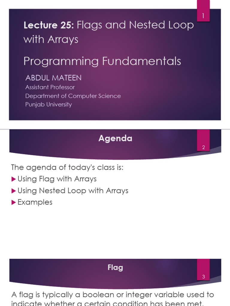 Flags and Nested Loops in Arrays | PDF | Control Flow | Integer ...