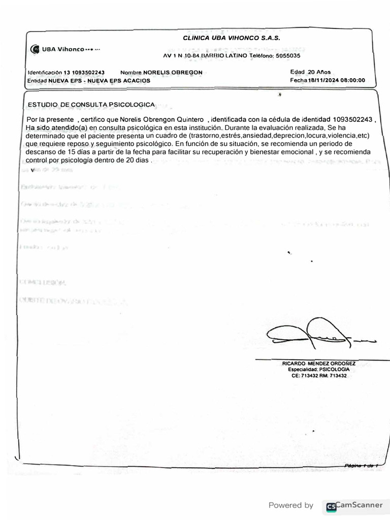 Escusa Medica | PDF