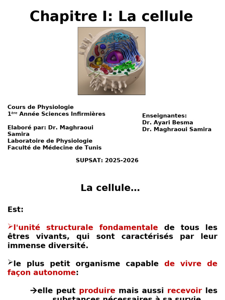Comprendre la cellule : structure et fonction | PDF | Noyau (biologie ...