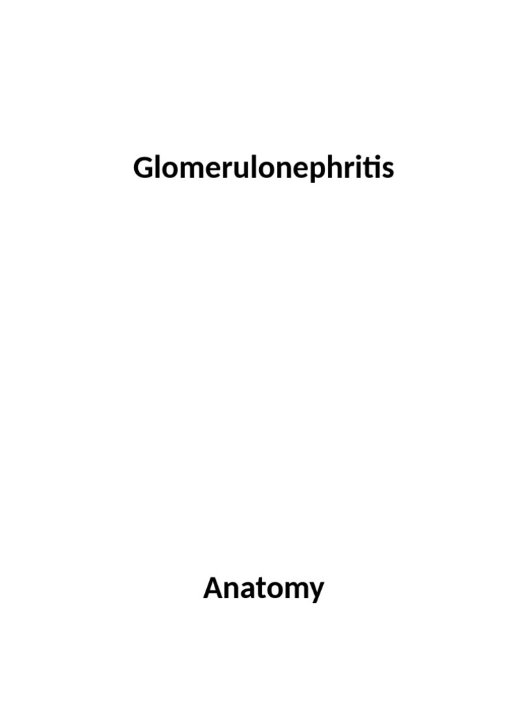 2 Glomerulonephritis | PDF | Medical Specialties | Diseases And Disorders