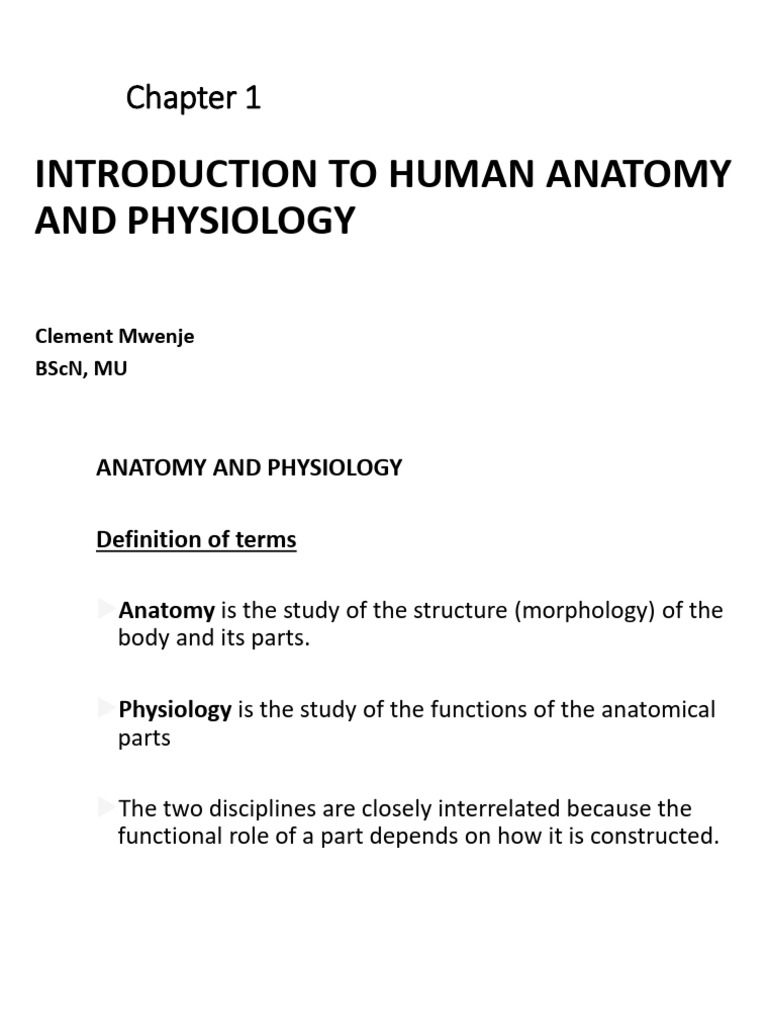 Intro Anatomy and Physiology | PDF | Anatomical Terms Of Location ...