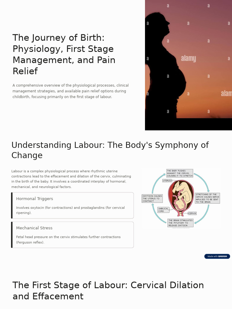 The Journey of Birth Physiology First Stage Management and Pain Relief ...