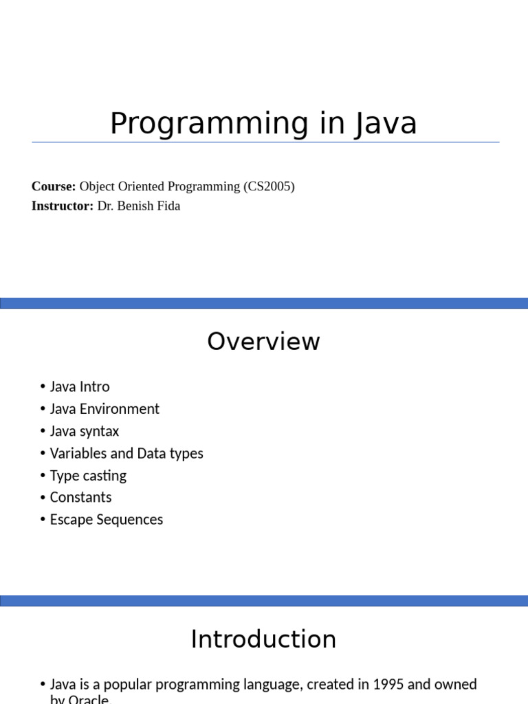 Java Programming Basics Guide | PDF | Data Type | Boolean Data Type
