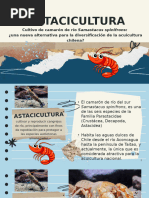 Camarón de río: Cultivo y conservación | PDF | Acuicultura | Pescado