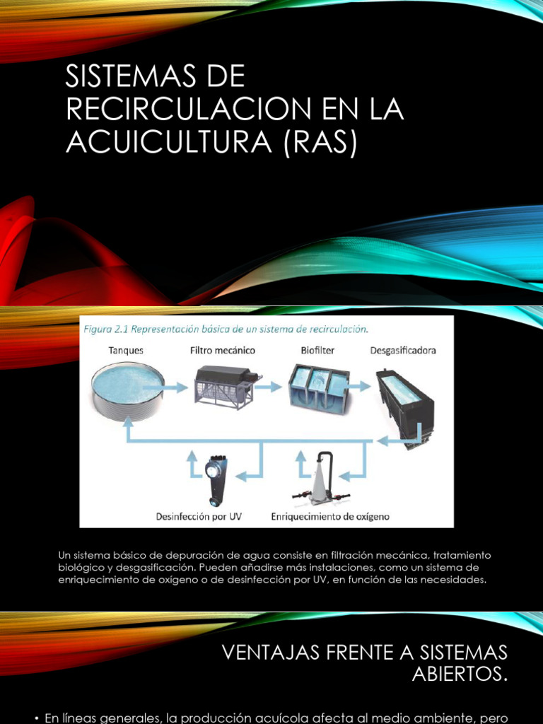 Ventajas de los Sistemas RAS en Acuicultura | PDF | Agua | Acuicultura