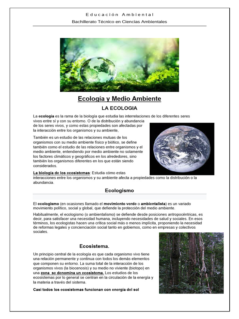 Ecología y Medio Ambiente: Conceptos Clave | PDF | Entorno natural ...