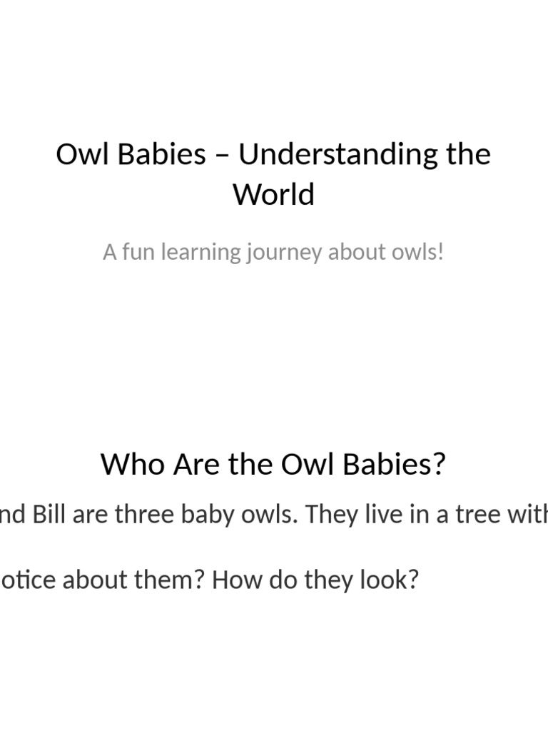 Fun Facts About Baby Owls | PDF