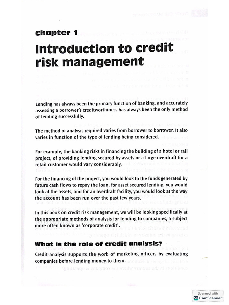 Credit Risk Management | PDF