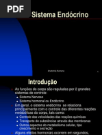 Sistema Endócrino