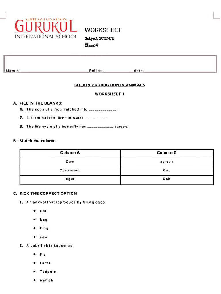 Worksheet 1 | PDF