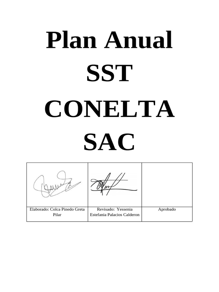 Plan Anual SST | PDF | Seguridad y salud ocupacional | Auditoría