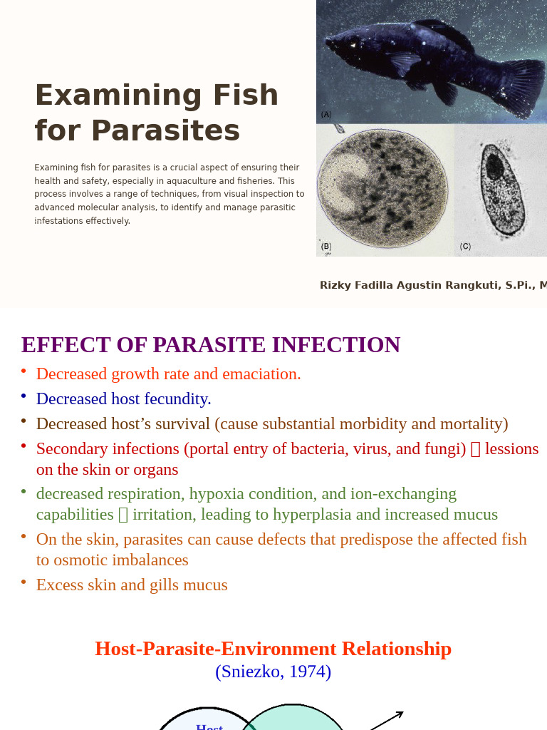Fish Parasite Examination Techniques | PDF | Crustacean