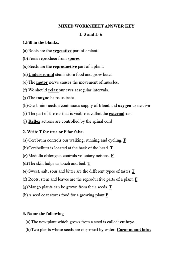 EVS Answer L.3 & L.6 Worksheet | PDF
