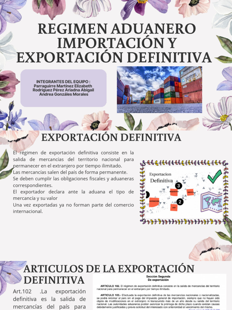 Importación y Exportación Definitiva | PDF